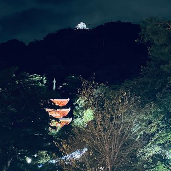 帰りは東坂→唐釜で、気持ちよく走って下山〜🙌🙌🙌　