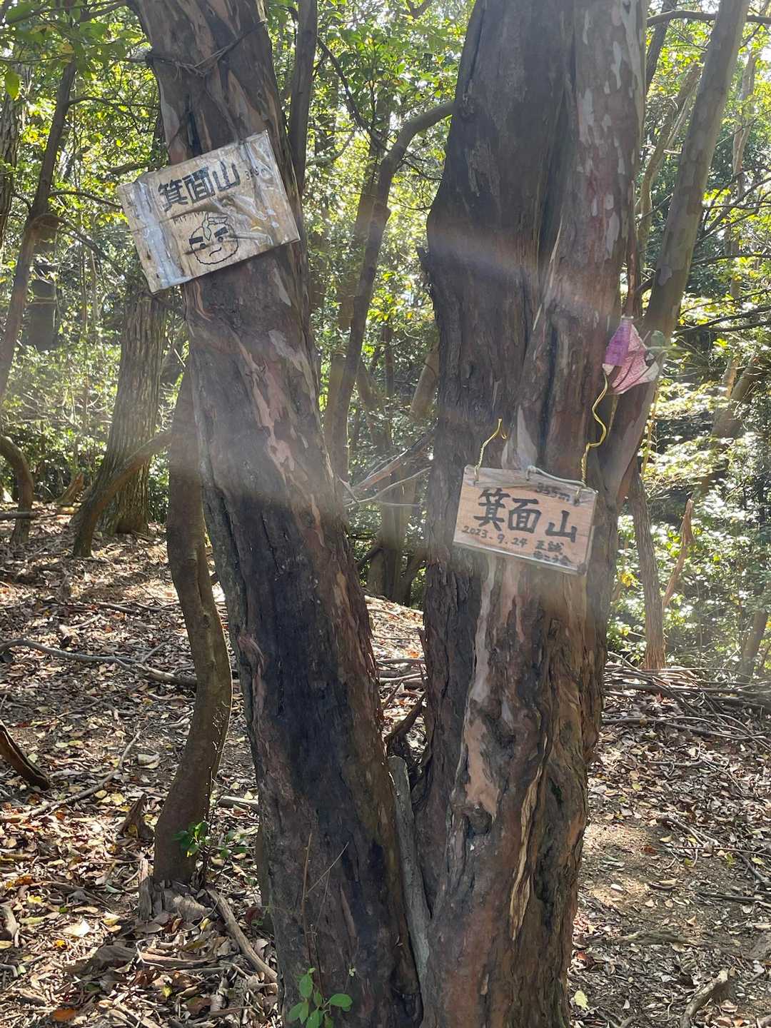 石子詰登山口-天上ヶ岳-三国峠-箕面山 往復コースの写真