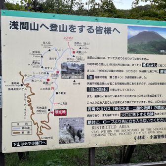 フムフム…