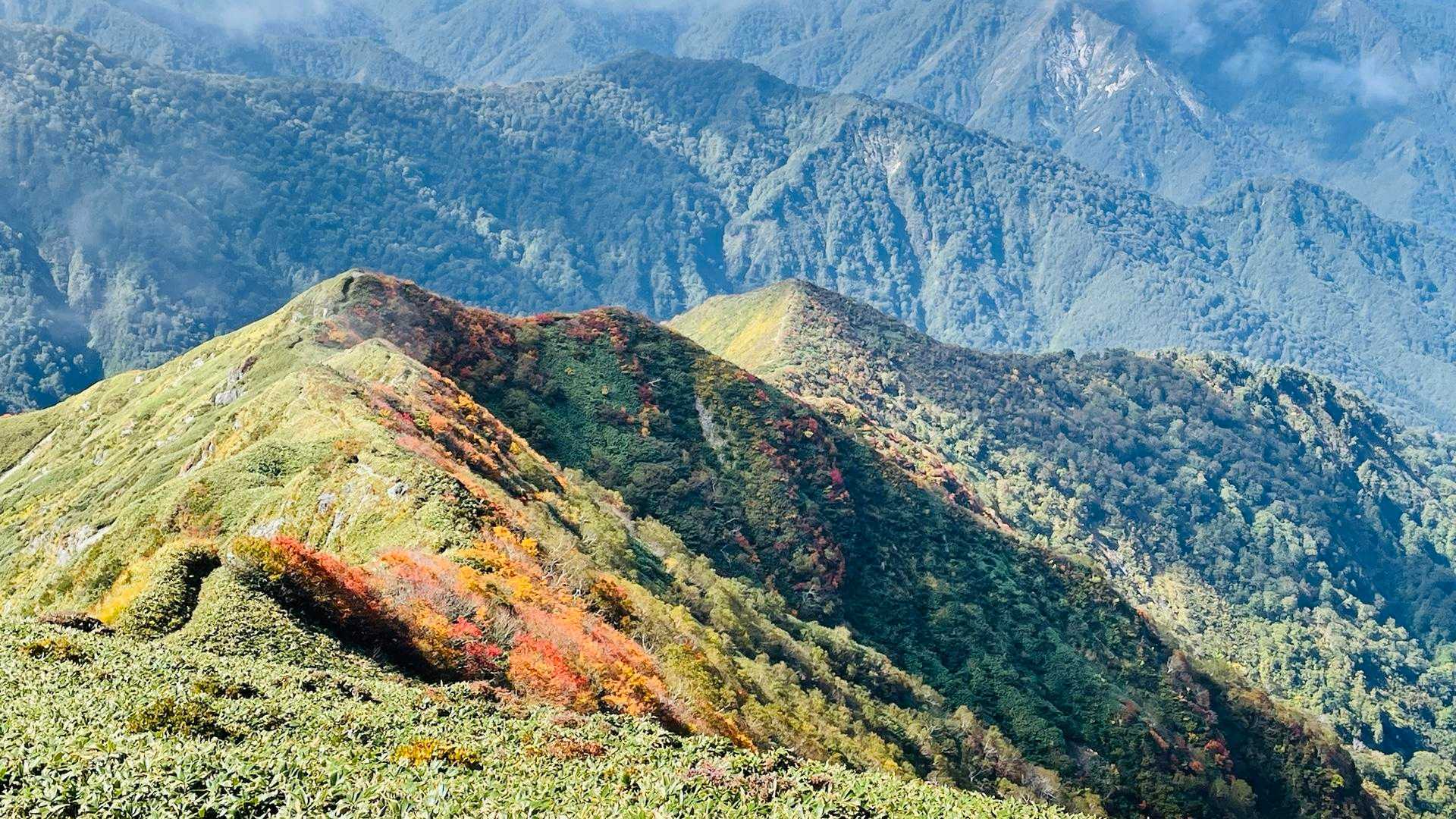 矢場の頭周辺の紅葉は見頃✨