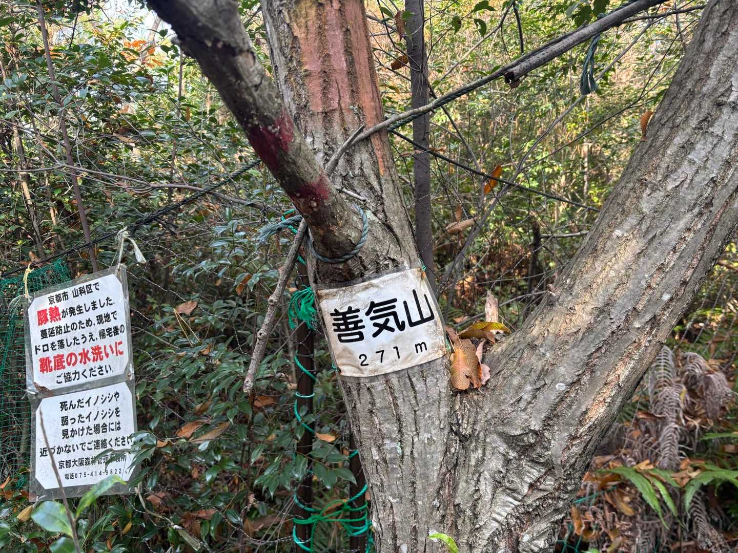 善気山(標高271m)