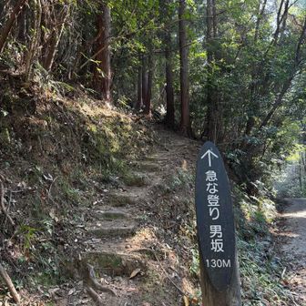 登り切ったら舗装路に出ました。
左手は緩やかな坂道、右手は急な男坂。
登りは男坂、くだりを緩やかな坂道で…が本日のコース。
