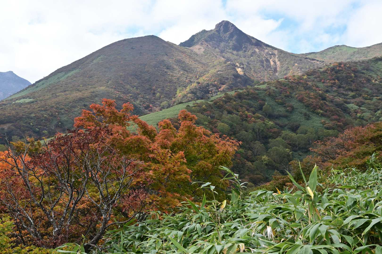 紅葉と朝日岳