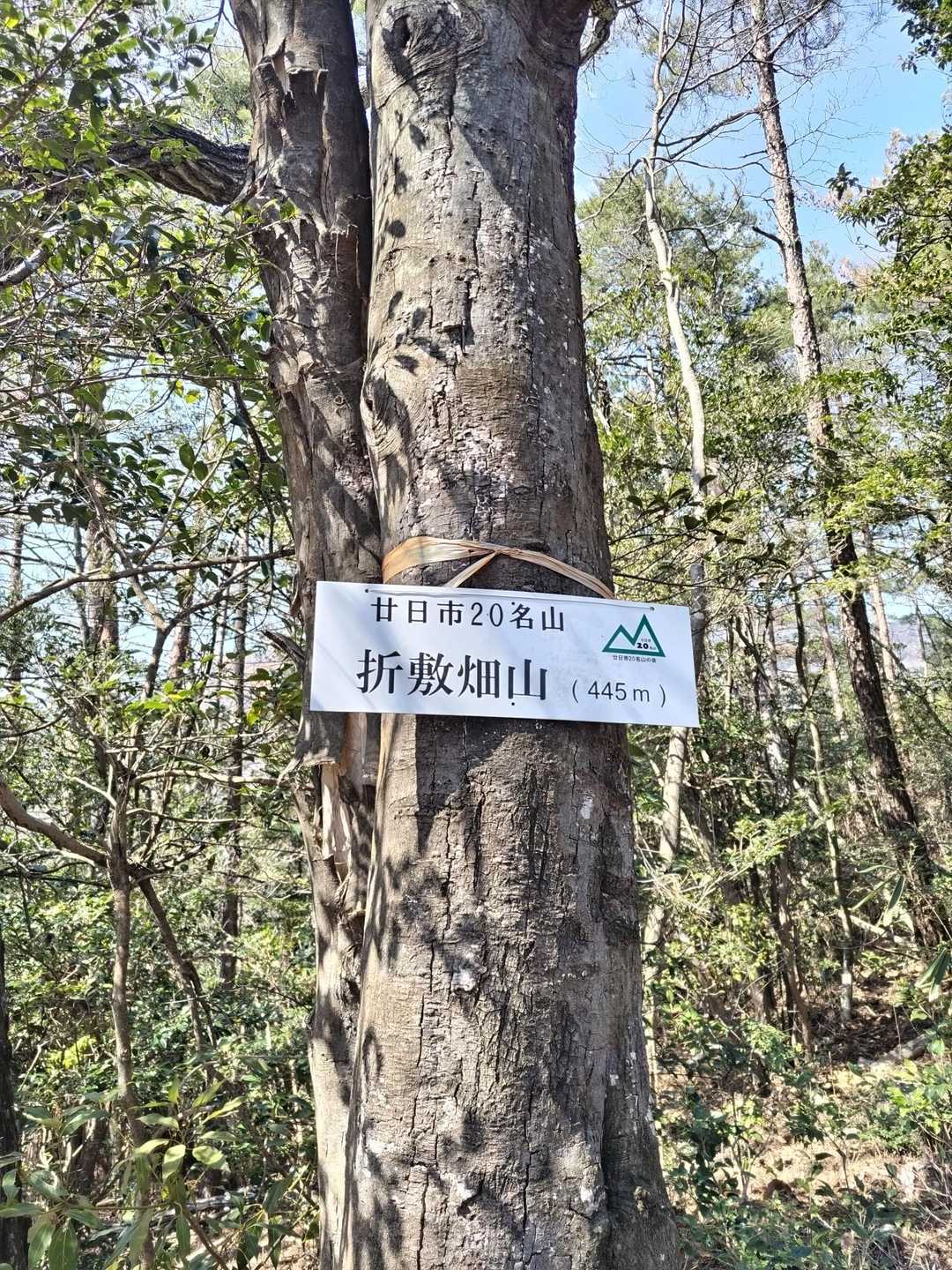 折敷畑山 往復コースの写真