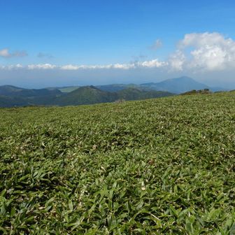 猟師岳から涌蓋山