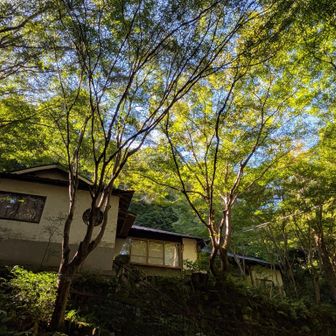祐泉寺卍まで下りてきました👍