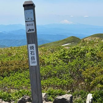 焼石岳初登頂！後ろに見える鳥海山は本当に雄大