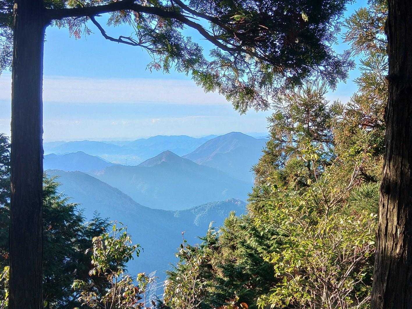 竜ヶ岳-大井戸山 周回コースの写真