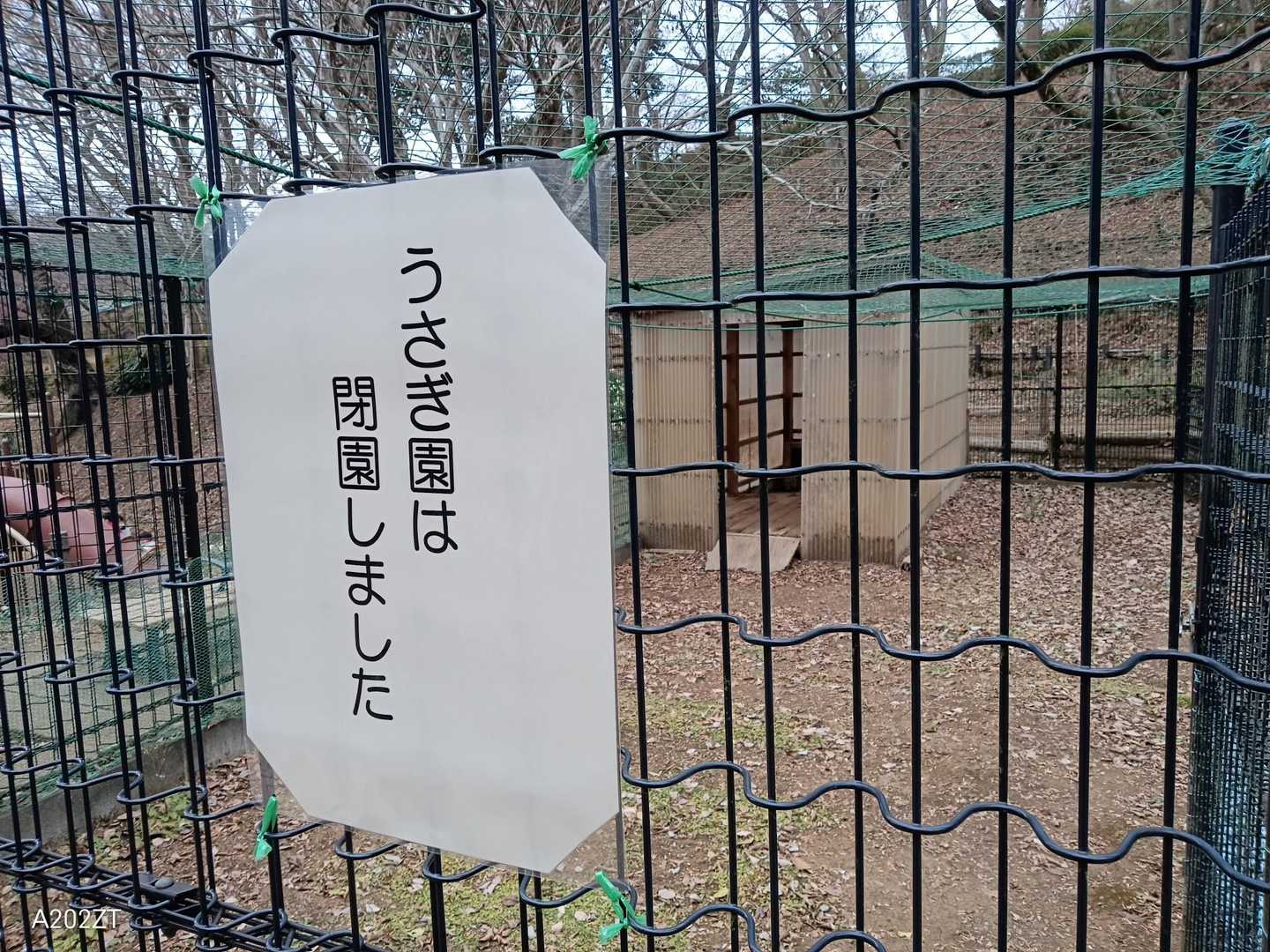 最後に癒し🐇を…閉園してました💧