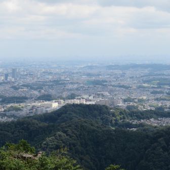 都心