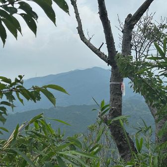 大和葛城山⛰️