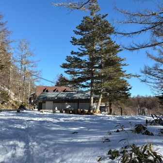 山彦荘横のトイレは暖房便座付き👏