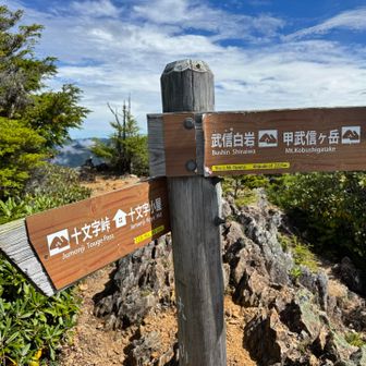 大山の山標。ここまでかなり険しかった。。。