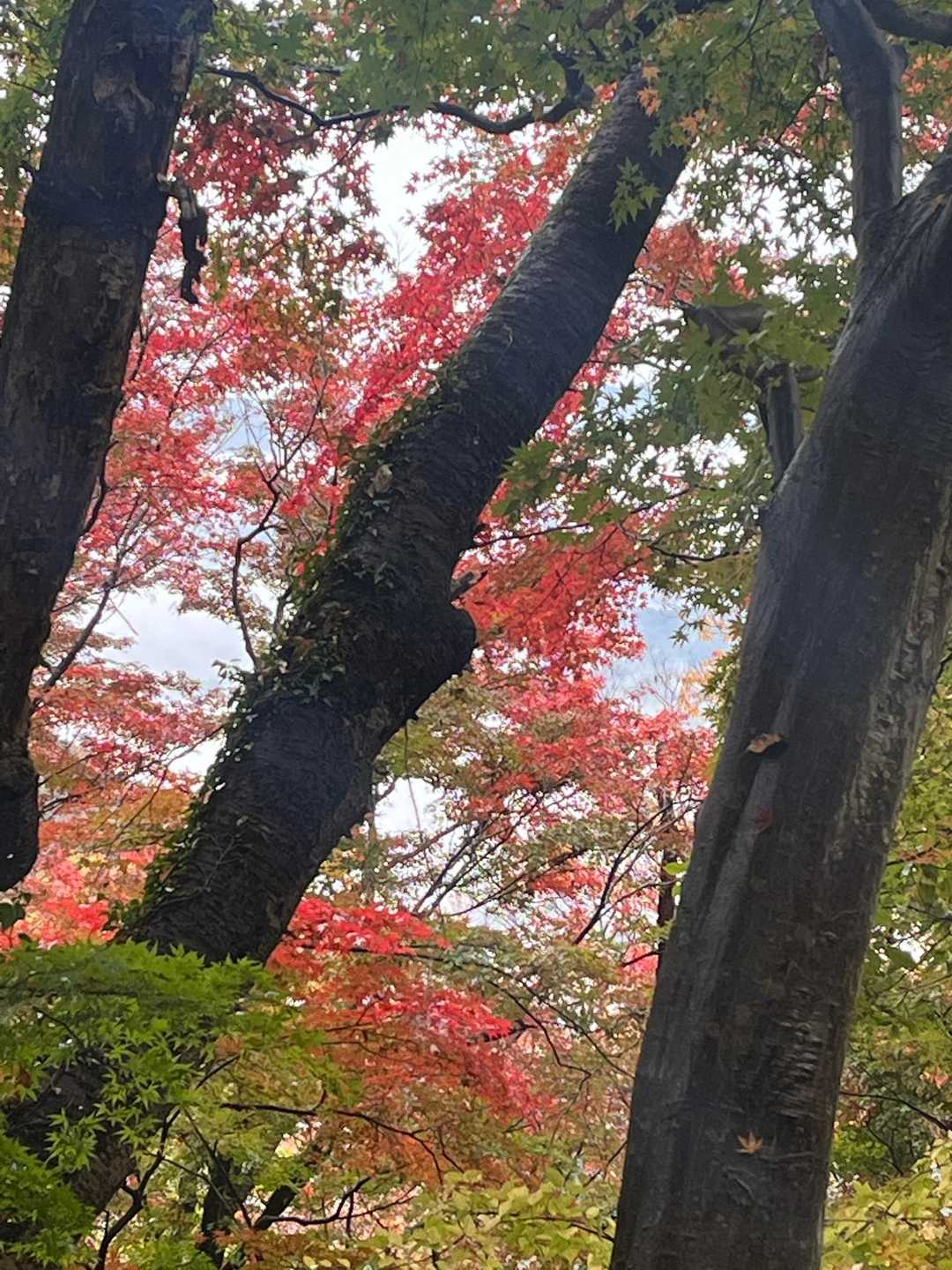 カバーに決定✨️
