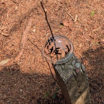 帰りに通った赤坂山は寂しい山頂・・・