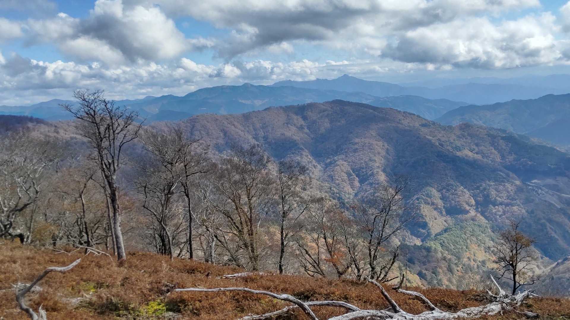 奥に市房山
その手前が先週行った江代山・馬口岳