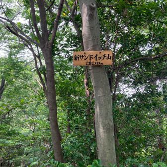 新サンドイッチ山⛰️山頂