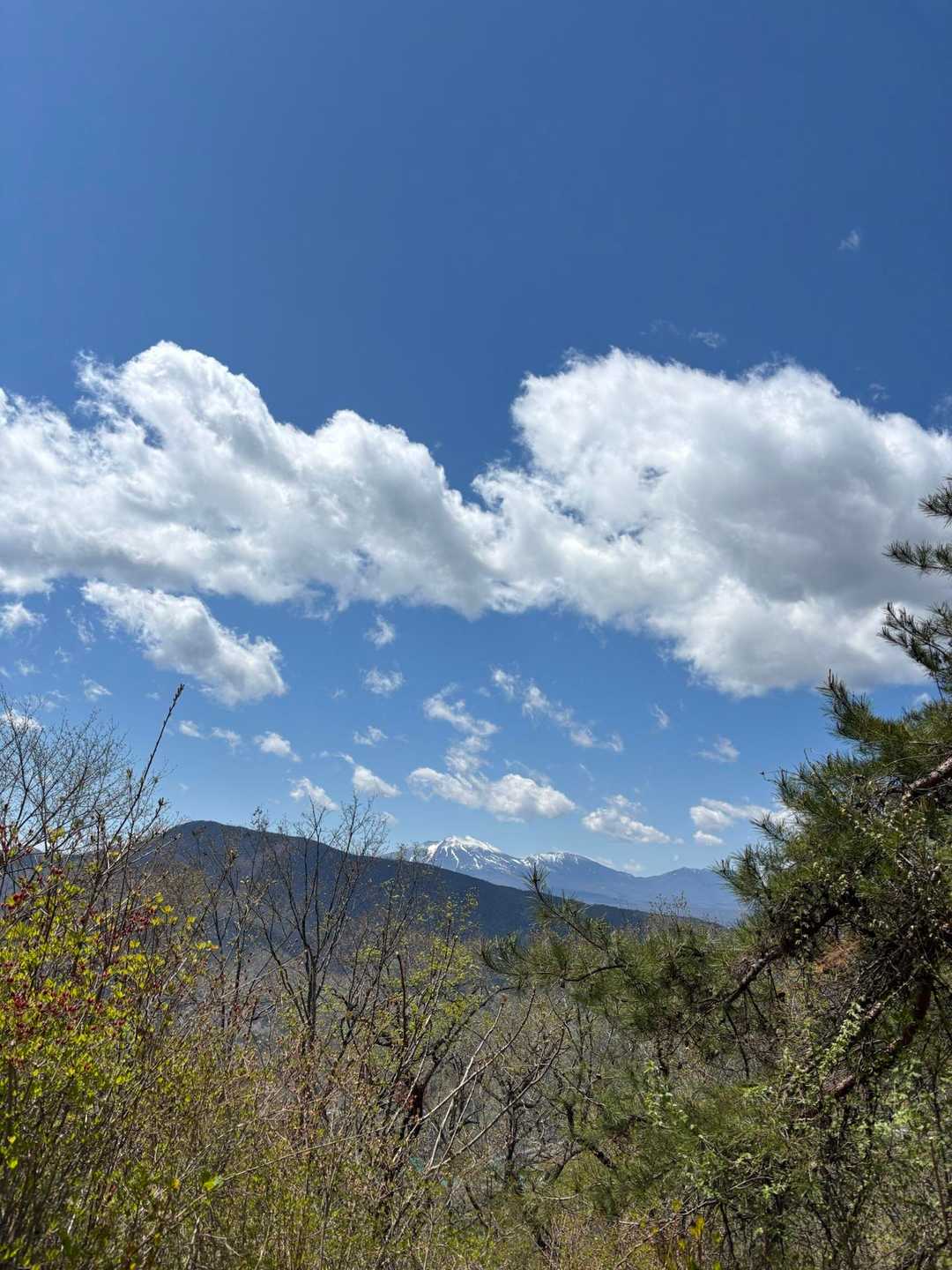 王城山神社-王城山-王城山神社奥宮 周回コースの写真