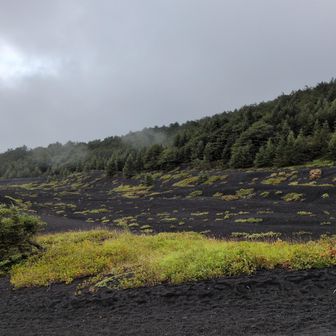天気はあいにくの曇り。一応雨は振っていない