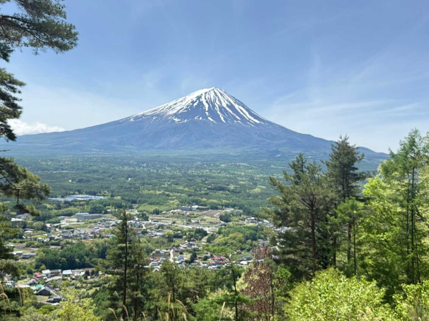 富士山どーーーーーん