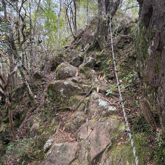 ちょっとハードで🪨台高山脈みたい😅
一箇所トラバースがありました。矢筈岳は双児峰らしいので、そこでもう一つのピークを巻いたのかもしれません⛰️