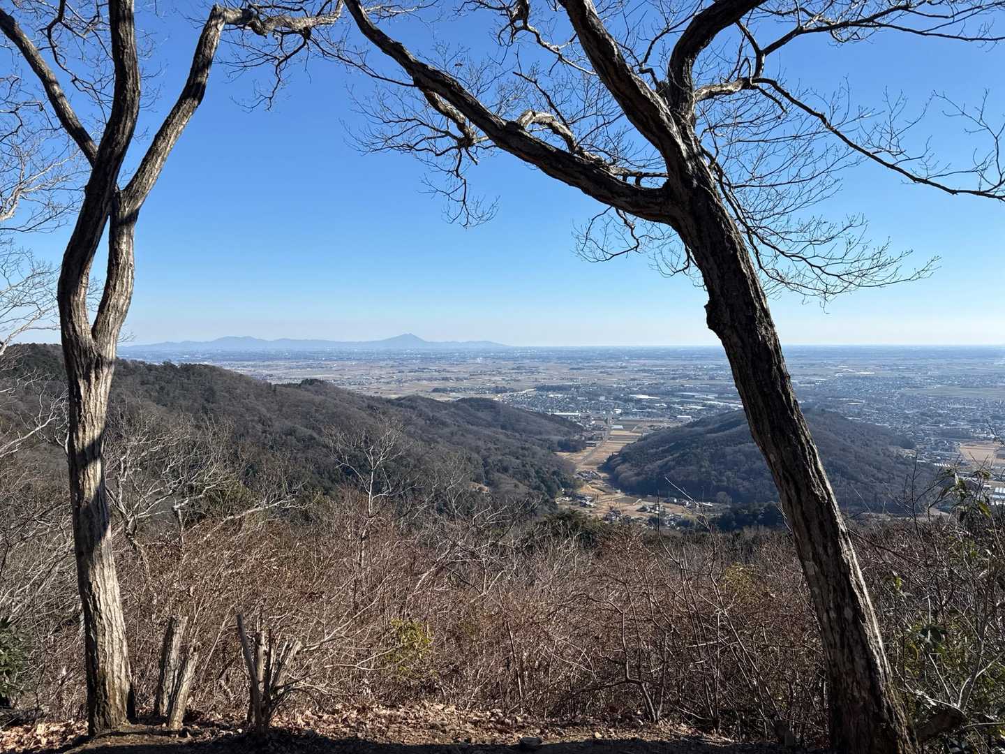 遠くに筑波山✨️良い眺め✨️