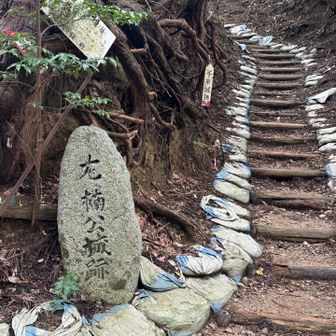 千早城🏯があったノネ