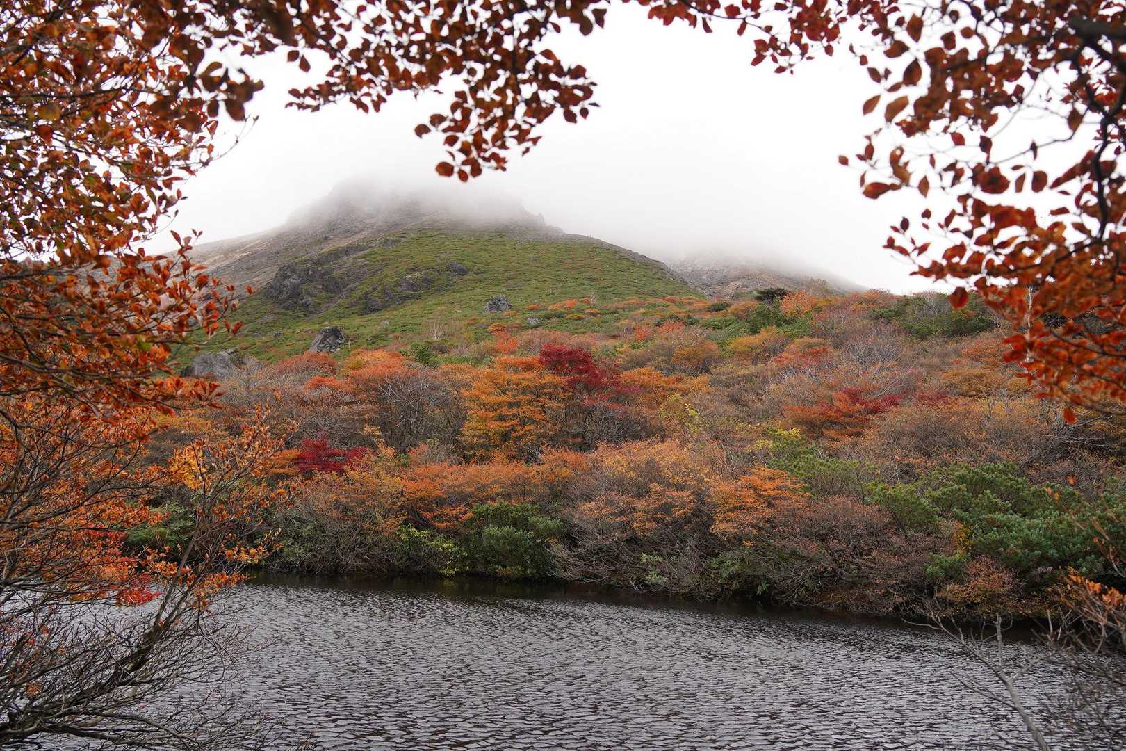 ひょうたん池から
GOODです🍁👍