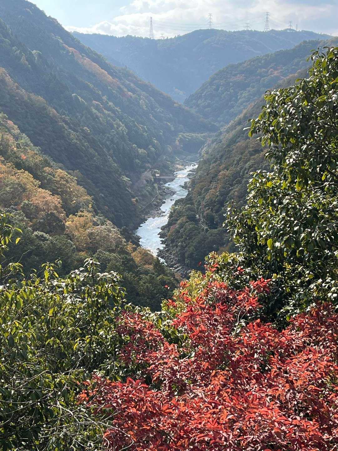 舗装路の坂道を登り、眺望ポイントからの紅葉と保津峡。
下山した所や駅と橋も見えています。
実はこの景色、サイクリングで来て何度も鑑賞している定番ポイントなんです。