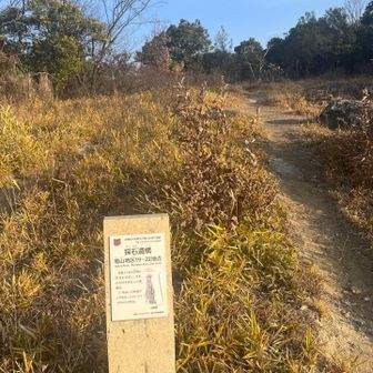 今日の14座目加茂山⛰️
ここで採石してたんだね🪨