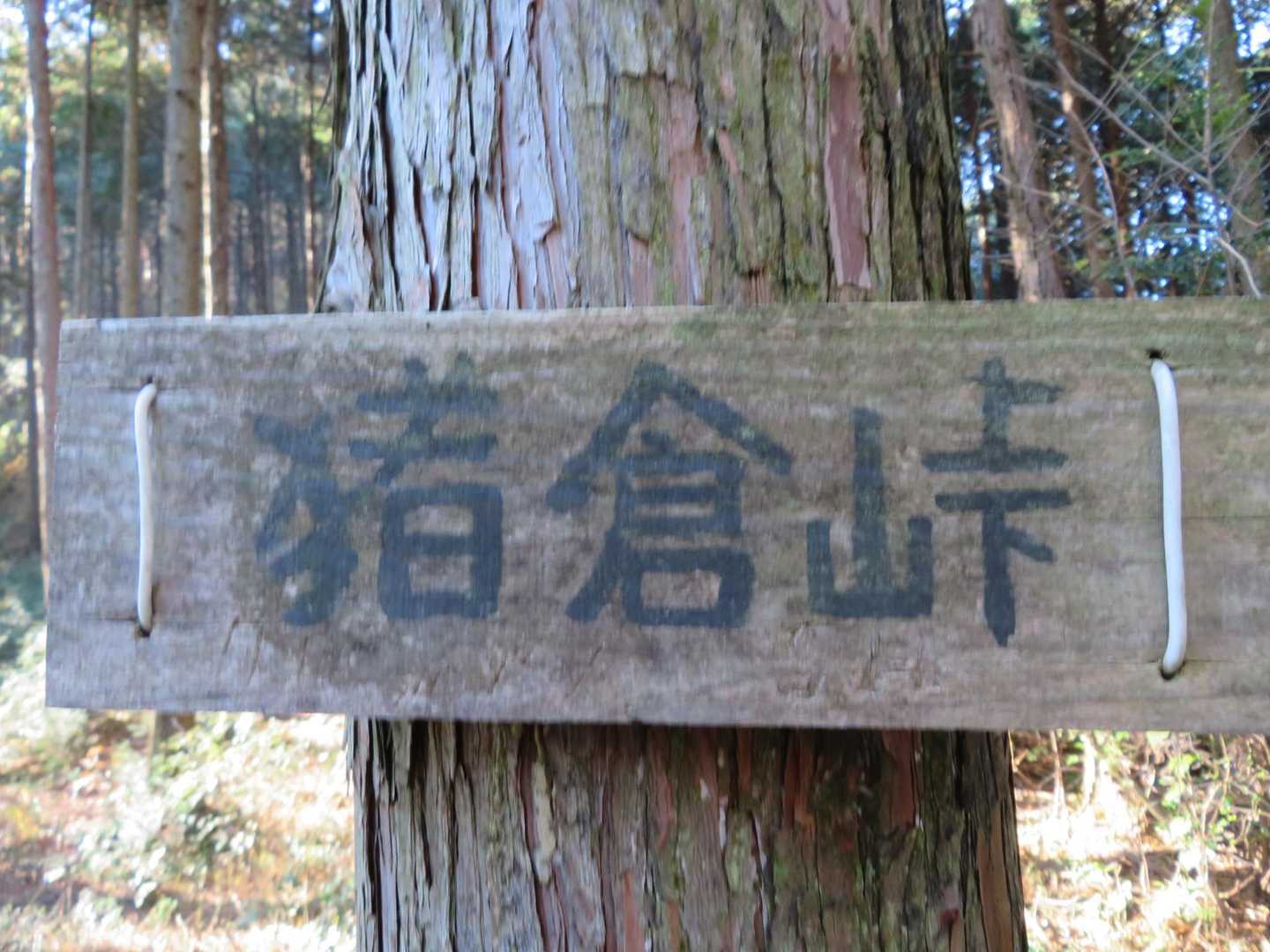 ここまでは順調