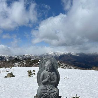 この大日如来様の顔がふっくらと優しくて好き