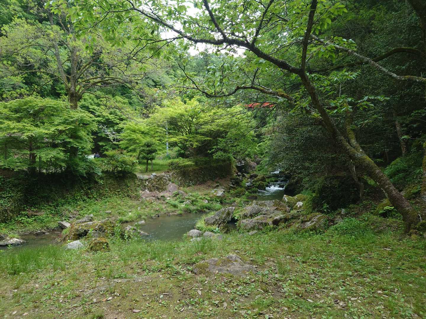 やっぱり外メシは良い