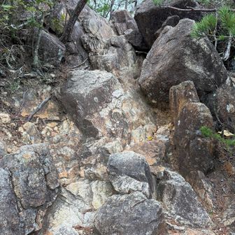 これ登るの？ちゃんと登山の格好で来て良かった〜

これ金剛山ならロープかチェーン⛓️付けてくれてるはずやん

さすがは恐るべし"槍"