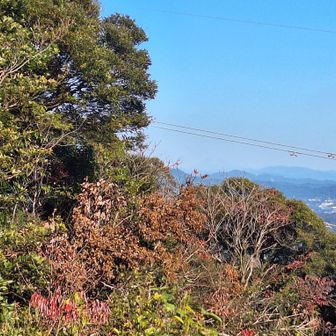 富士山がうっすら👌