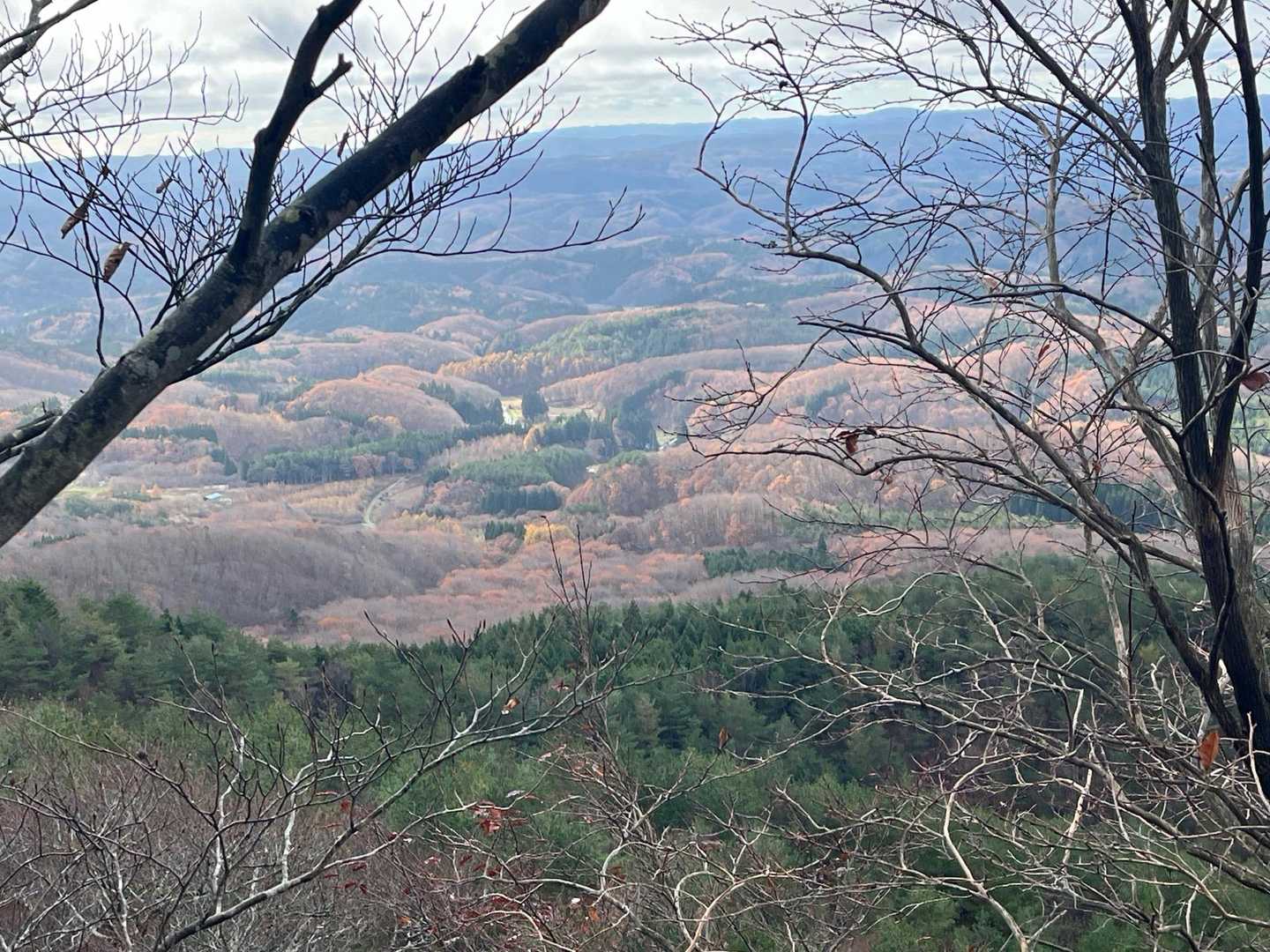 眺望ポイントからの景色
やはりすっかり晩秋🍂