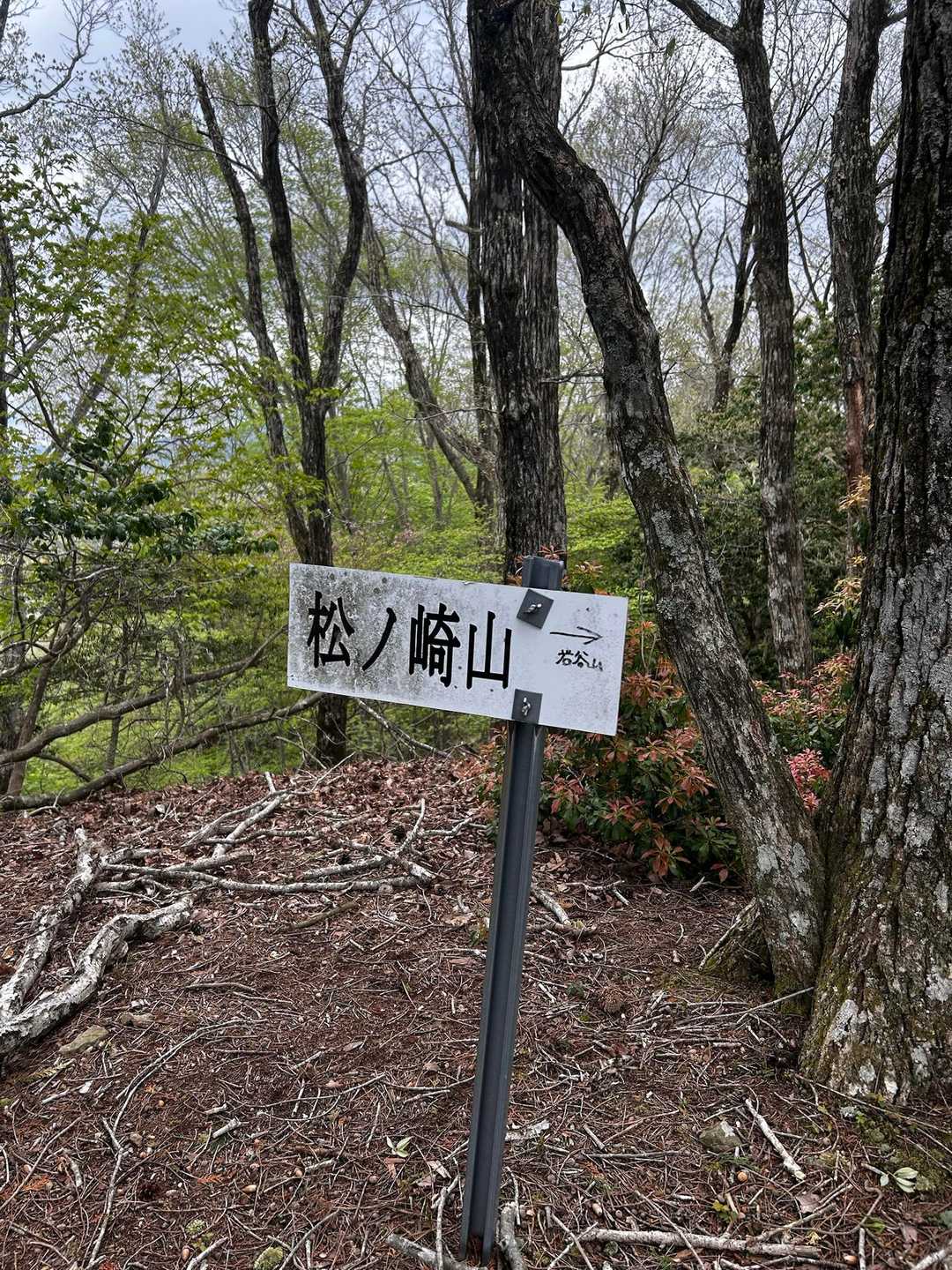 松ノ崎山⛰️
通過します