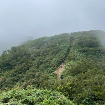 ガースー🤍(꒪−꒪ )
ここでスライドした若者が「水が足りなくて・・・スミマセンが少し分けて貰えませんか？🙏」
じじい、快くアクエリアス1本渡しましたよ

若者「丸々1本もいいんですか⁉️」

余分に持ってきてるからいいよー

「ありがとうございます！🙏」若者は去って行きました😊

じじい、良い事したなー👏きっと頂上に着く頃には山の神様がガスを取ってくれるよ(・∀・)

そ、そお？(˶‾᷄ꈊ‾᷅˵ )ﾃﾞﾍﾃﾞﾍ

※ほ、ほんとの話だぞー！ウソじゃないんだぞー！😂←怪しい🤣