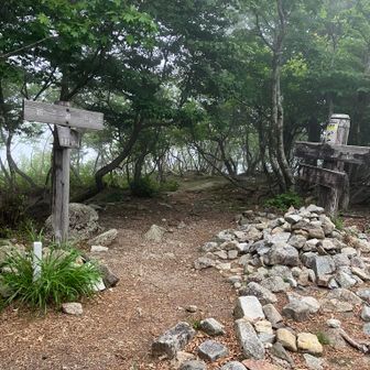 釈迦岳山頂です。写真ではわかりづらいですが、結構ガスで曇っていました。ここからはただひたすらにイン谷口に向かって下山するのみですが、これが意外とキツいんですよね～(^^;