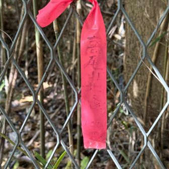 ありました☺️
高尾山(北峰)登頂100m