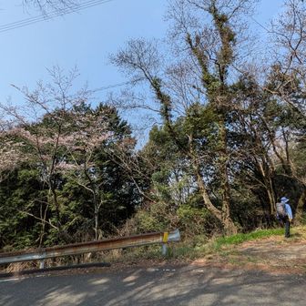 今回は愛媛県の障子山の標識に車を停めた。
その場所に障子山から下山。車道を歩き鵜の崎峠を越えて少し下ると白滝山と権現山の登山口に出る、写真のとおり標識がある。車は1台程度なら停められるかも。