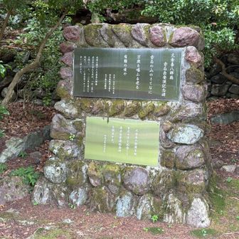 すごいよね。こんな辺境に山登りしにくるなんて、尊敬します🫡大正時代だと米俵転がしながら来たんでしょう🍙