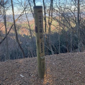 この時期この時間は、山ではもう夕方。