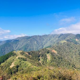 烏尾山を経由して塔ノ岳への稜線