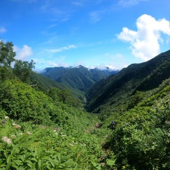 あと少しで八の沢カール
ここまで順調に上がってきた