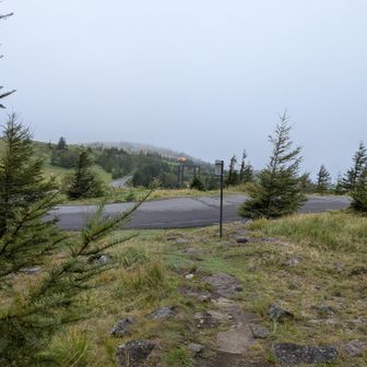 道路に戻ってきました。