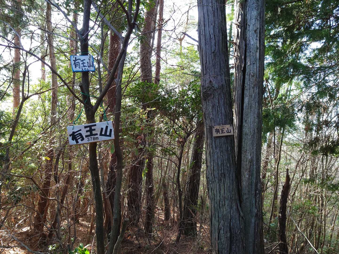 有王山の山名板が掲げられています😄🙆