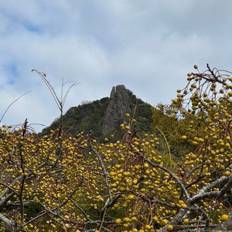 下りきるともう一度見上げたくなりました
