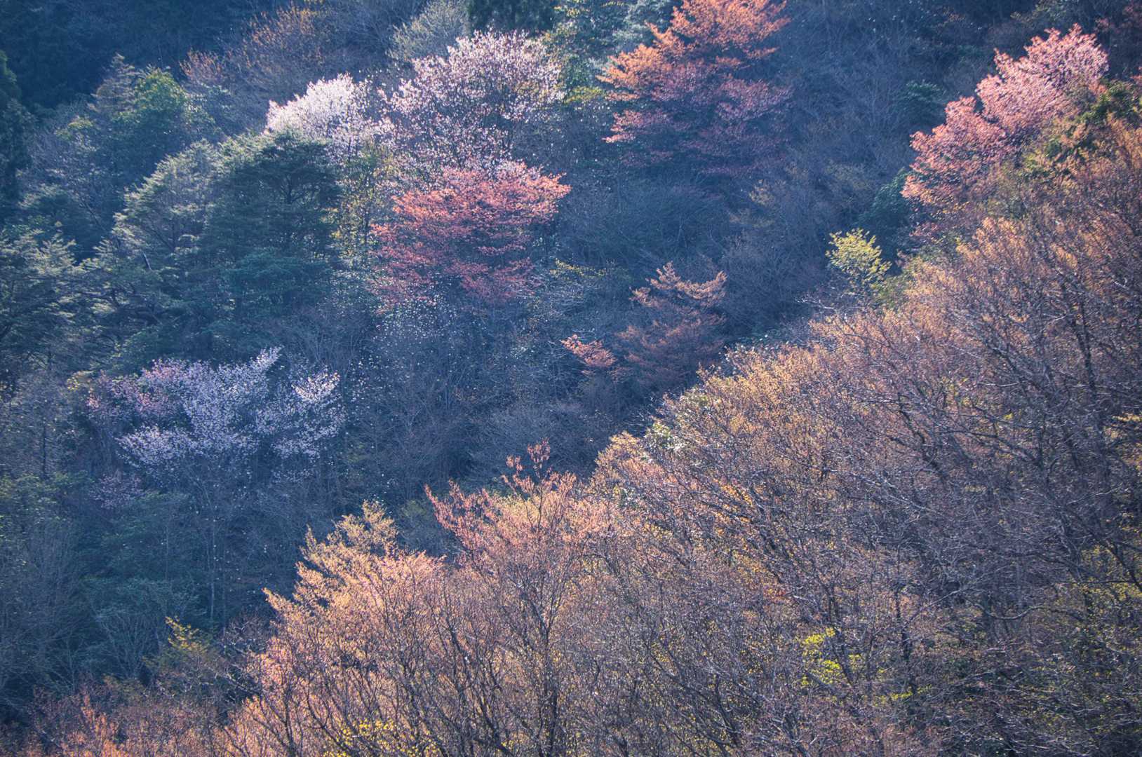色とりどりの山肌に斜光が差し込む