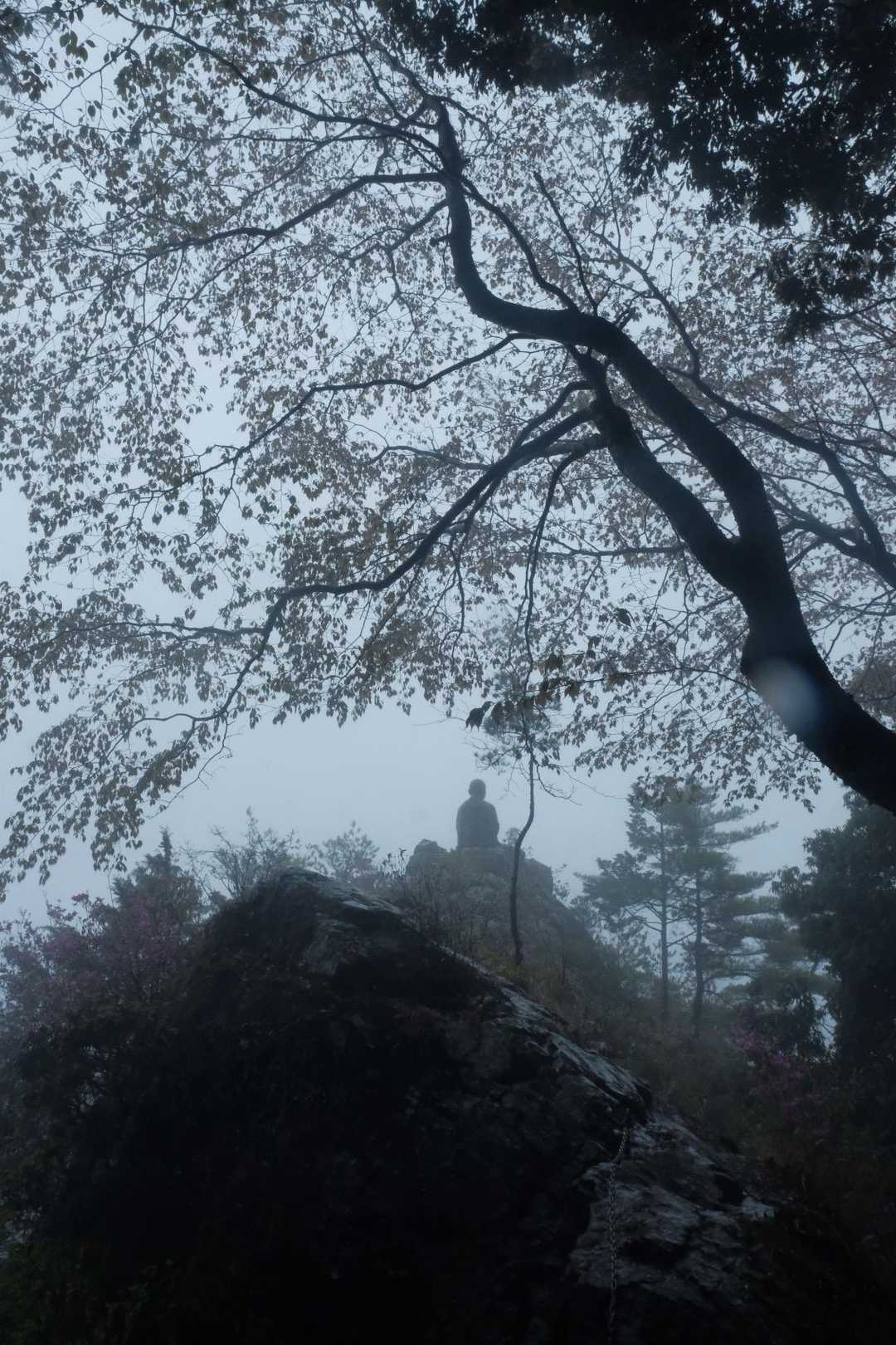 ありがとうございました🙏